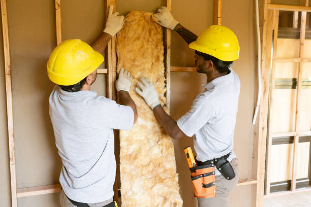 Best Attic Insulation Installation  in Georgetown, OH